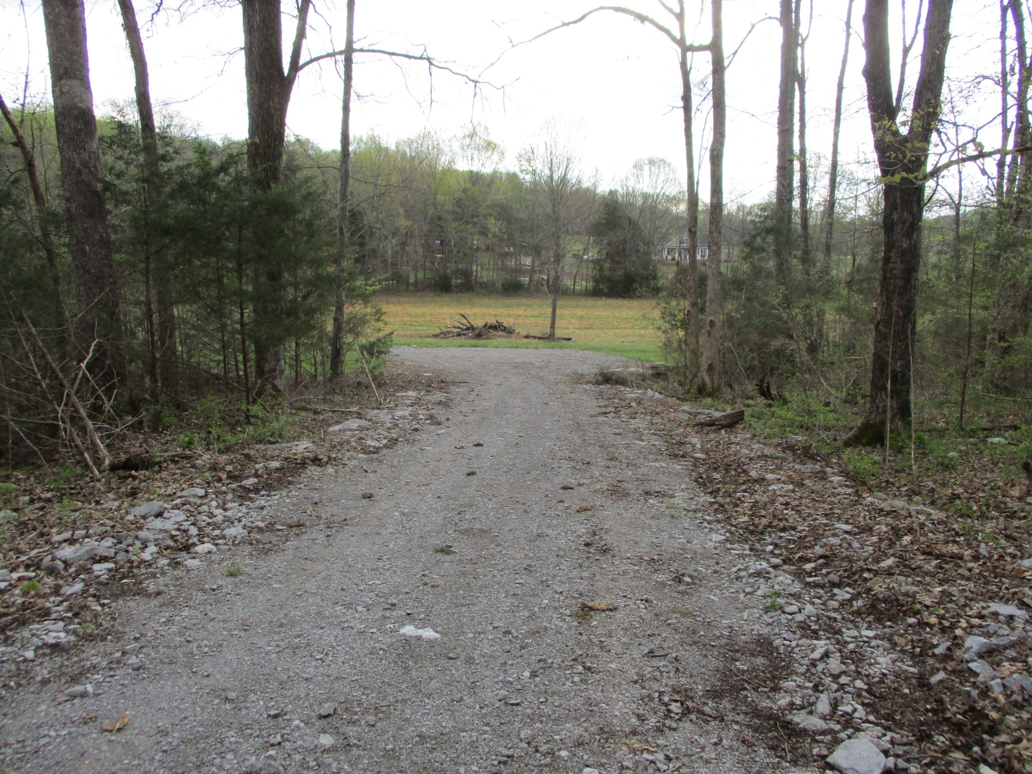 1415 Walnut Hill Road Lebanon, TN 37090 - Photo 4 of 11 a view of a forest with trees in the background