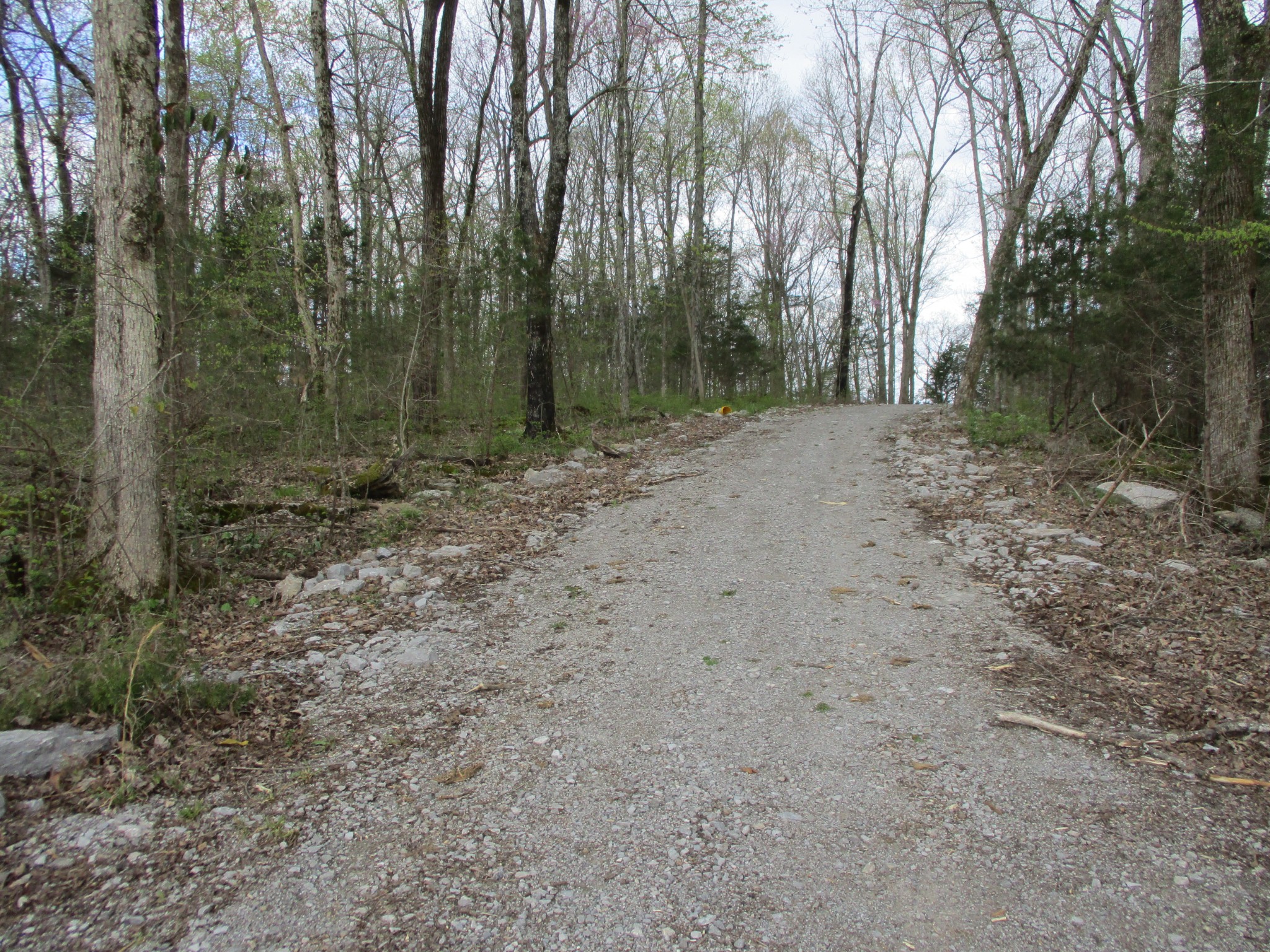 1415 Walnut Hill Road Lebanon, TN 37090 - Photo 5 of 11 a view of a forest with trees in the background