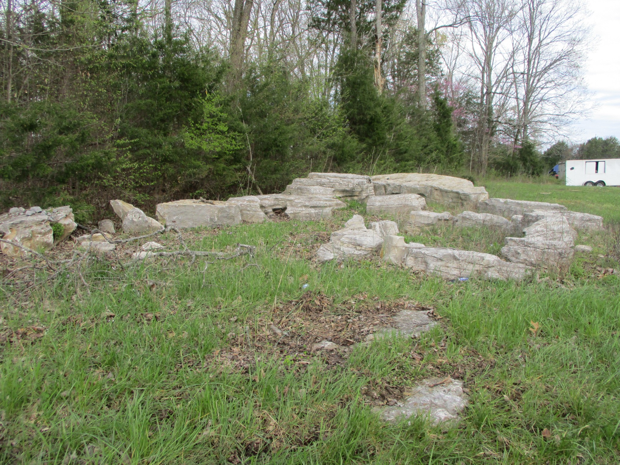 1415 Walnut Hill Road Lebanon, TN 37090 - Photo 6 of 11 a view of backyard with green space