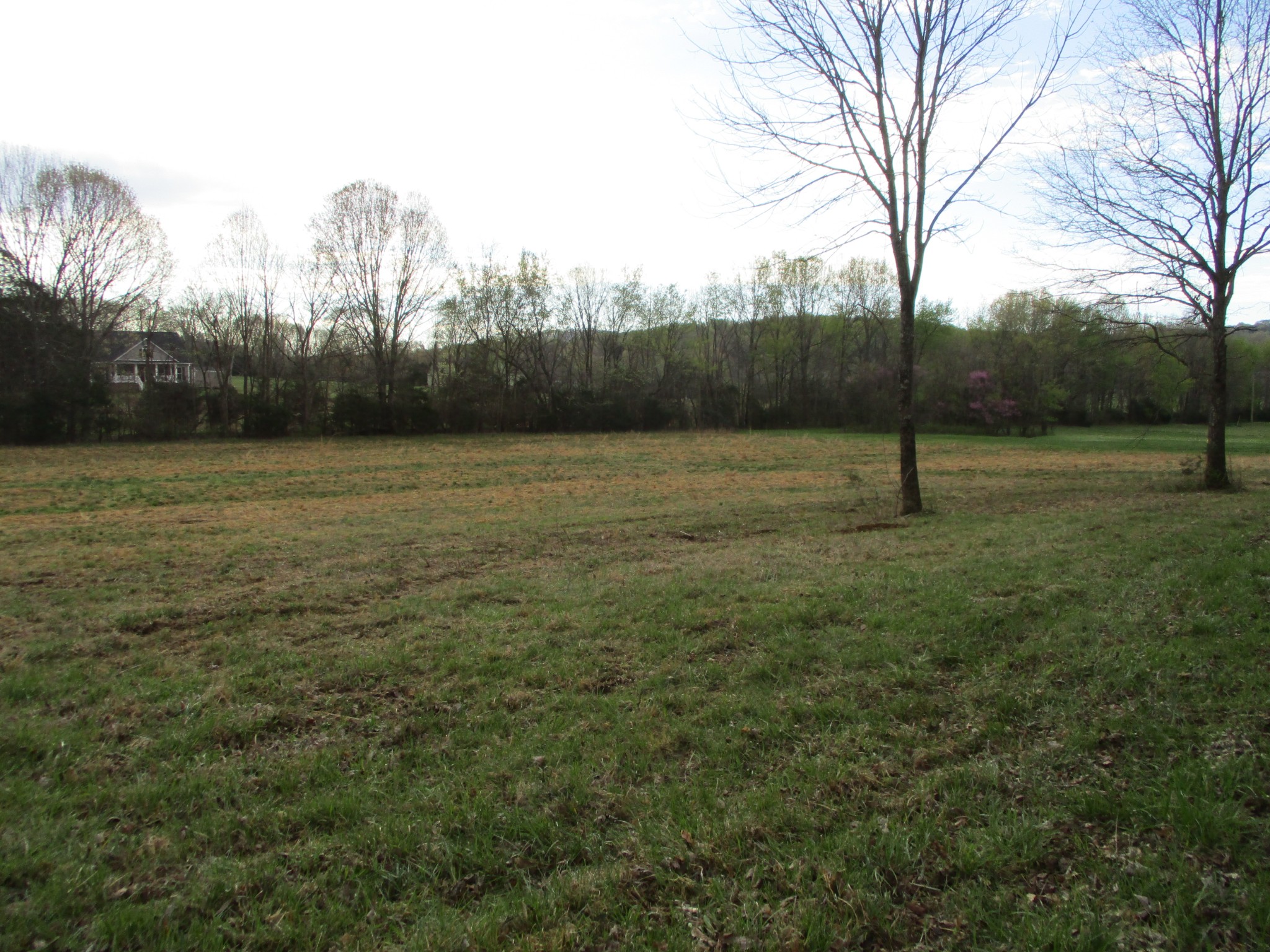 1415 Walnut Hill Road Lebanon, TN 37090 - Photo 7 of 11 a view of outdoor space with deck and yard