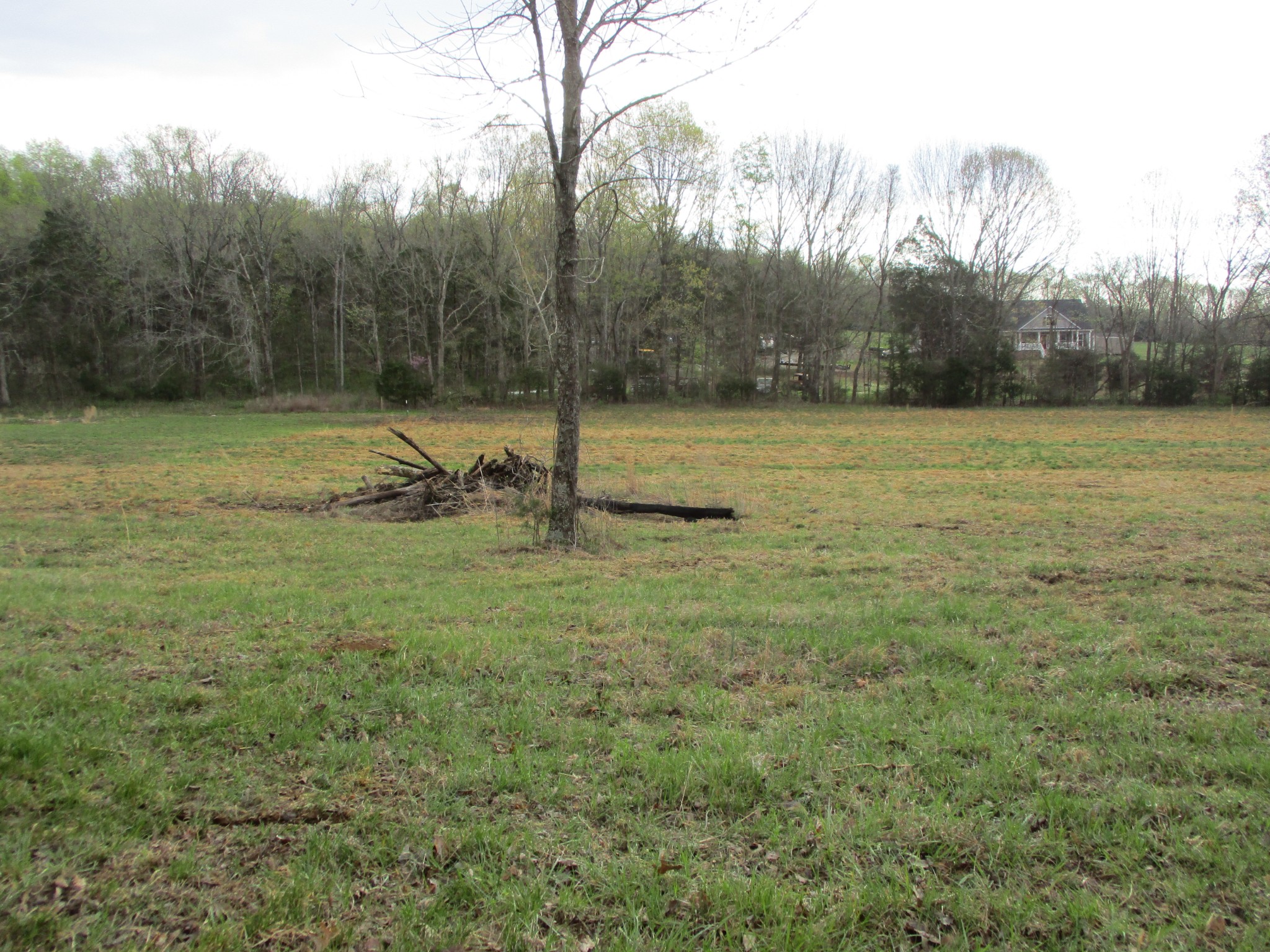 1415 Walnut Hill Road Lebanon, TN 37090 - Photo 10 of 11 a view of a field with a tree