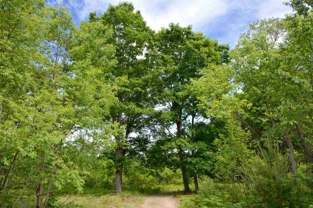 4689 Betsie River Road Interlochen, MI 49643 - Photo 35 of 49 1848789-35.JPG