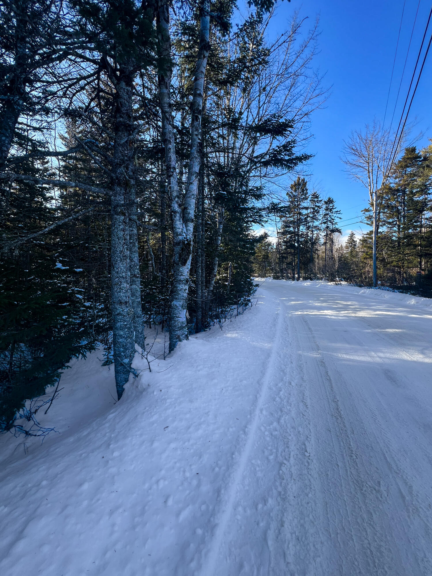 Tbd Duck Cove Road Roque Bluffs, ME 04654 - Photo 2 of 3 TBD Duck Cove Rd