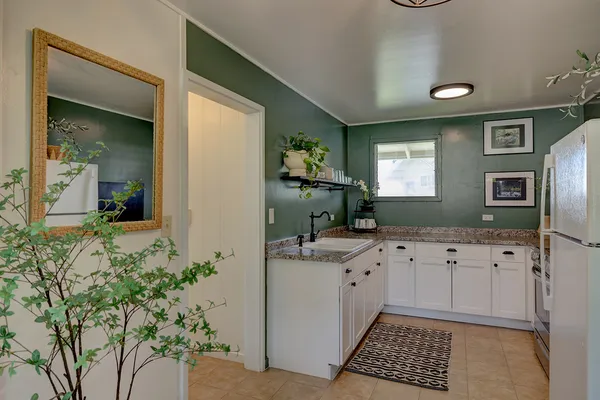 a bathroom with a sink a mirror and a potted plant