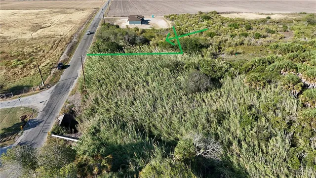 a view of a garden with plants