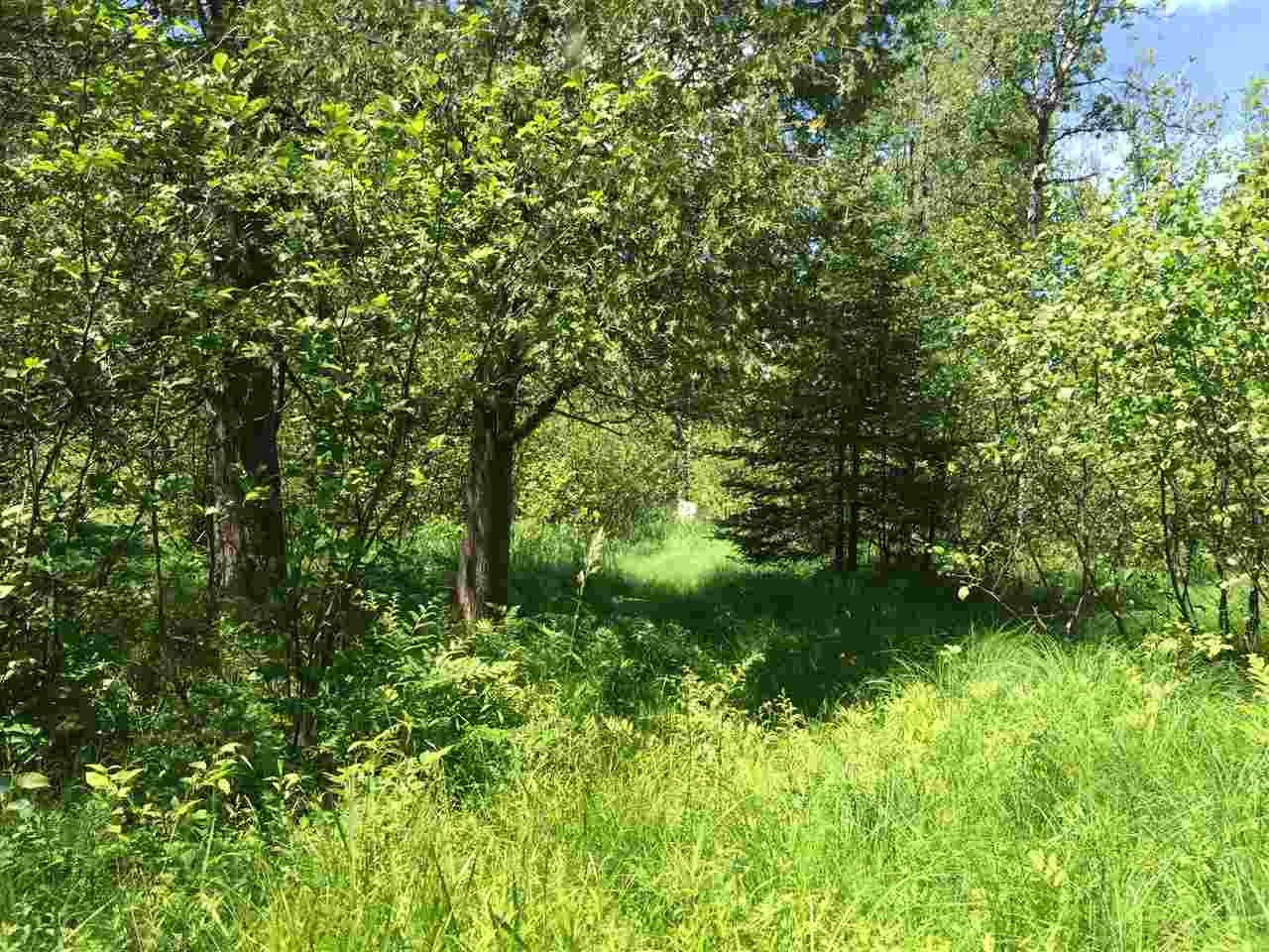 Brown Road Manton, MI 49663 - Photo 10 of 16 Gallery Image 10