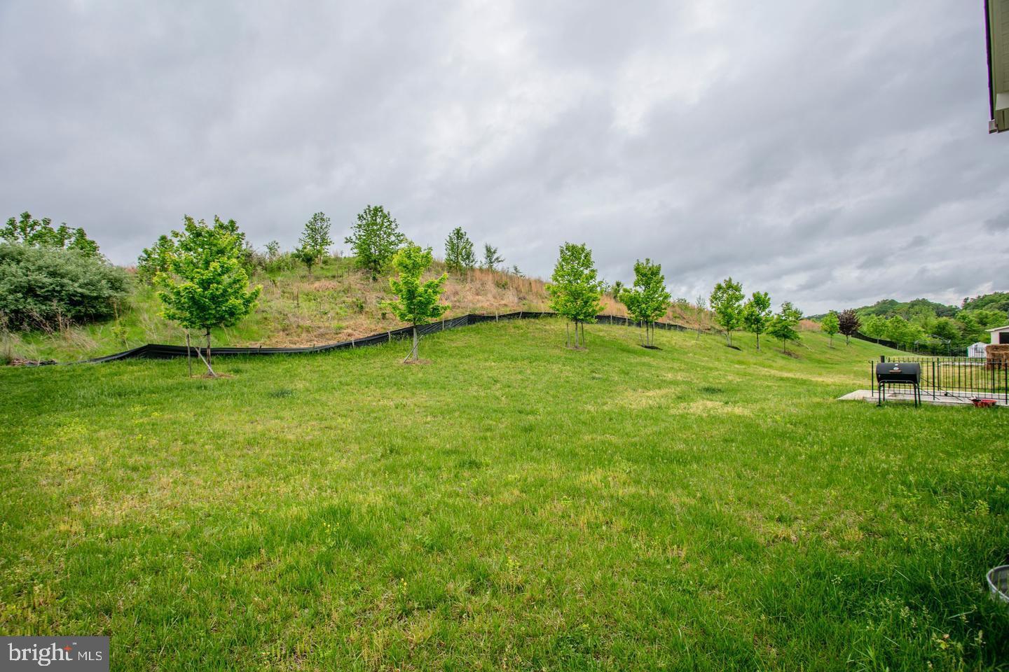 4902 Bridle Ridge Road Upper Marlboro, MD 20772 - Photo 17 of 20 a backyard of a house with lots of green space