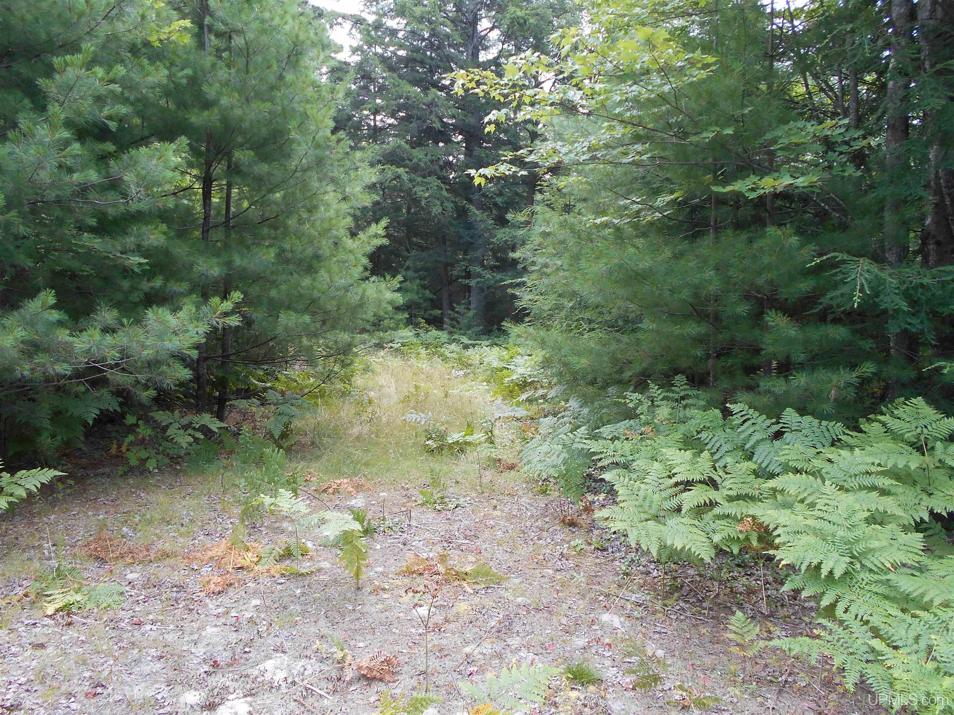 40-acres Garden Grade Road Garden, MI 49817 - Photo 45 of 51