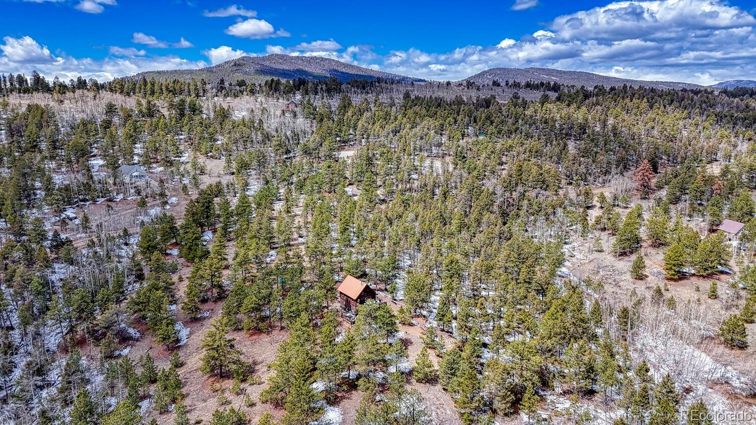 265 Bellows Road Hartsel, CO 80449 - Photo 12 of 49