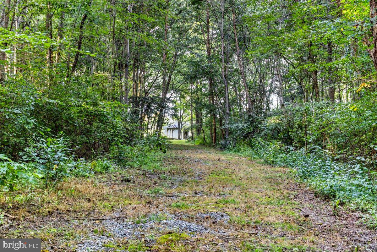 168 Alma Road Louisa, VA 23093 - Photo 40 of 40 Gallery Image 40