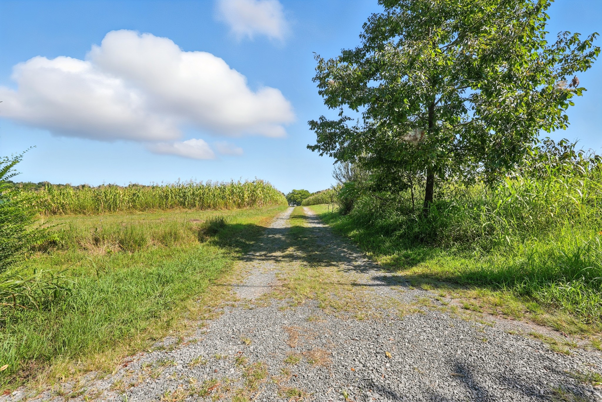 790 Squire Hall Road Bell Buckle, TN 37020 - Photo 18 of 42 a view of lake with mountain