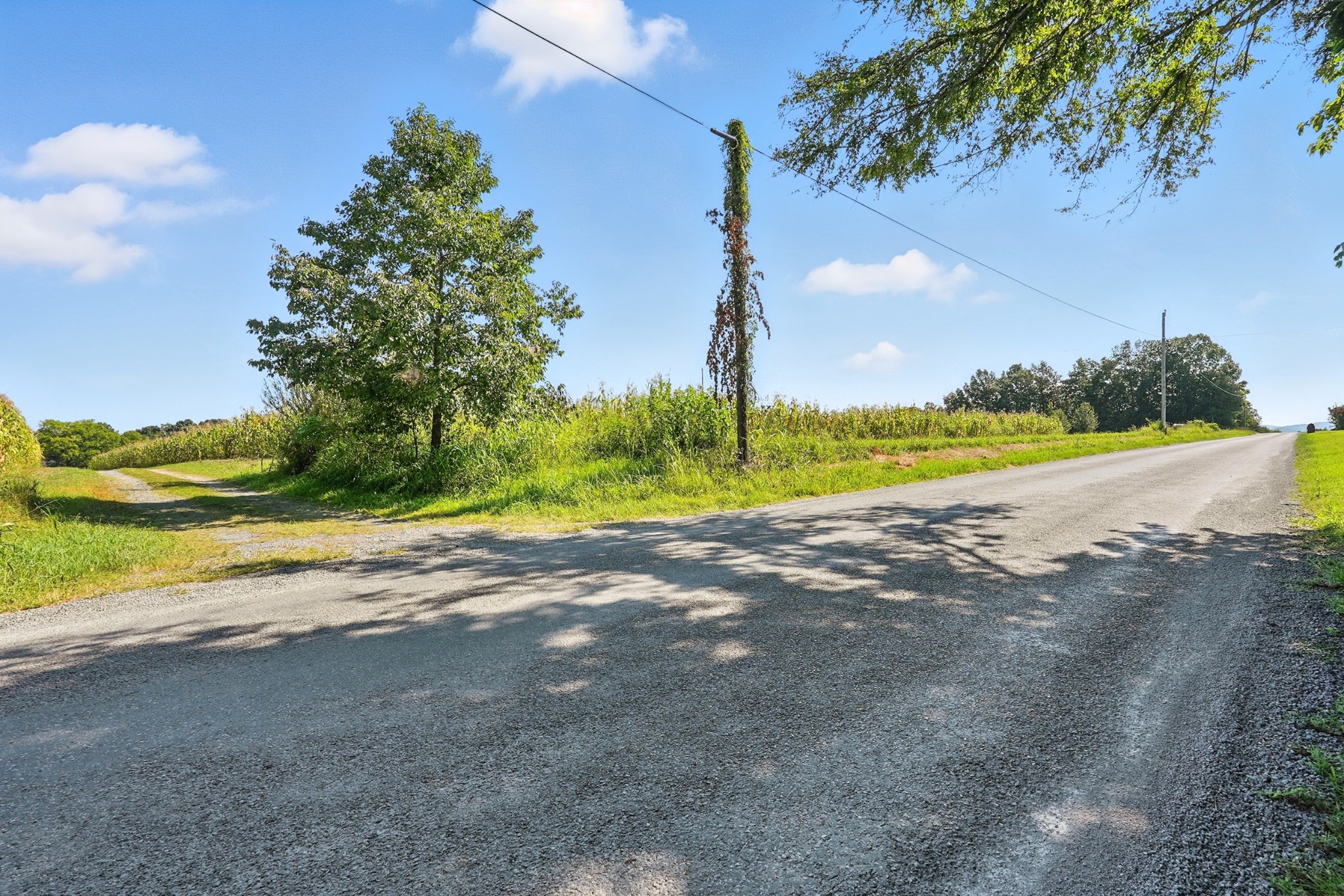 790 Squire Hall Road Bell Buckle, TN 37020 - Photo 19 of 42 a view of a road with an ocean view