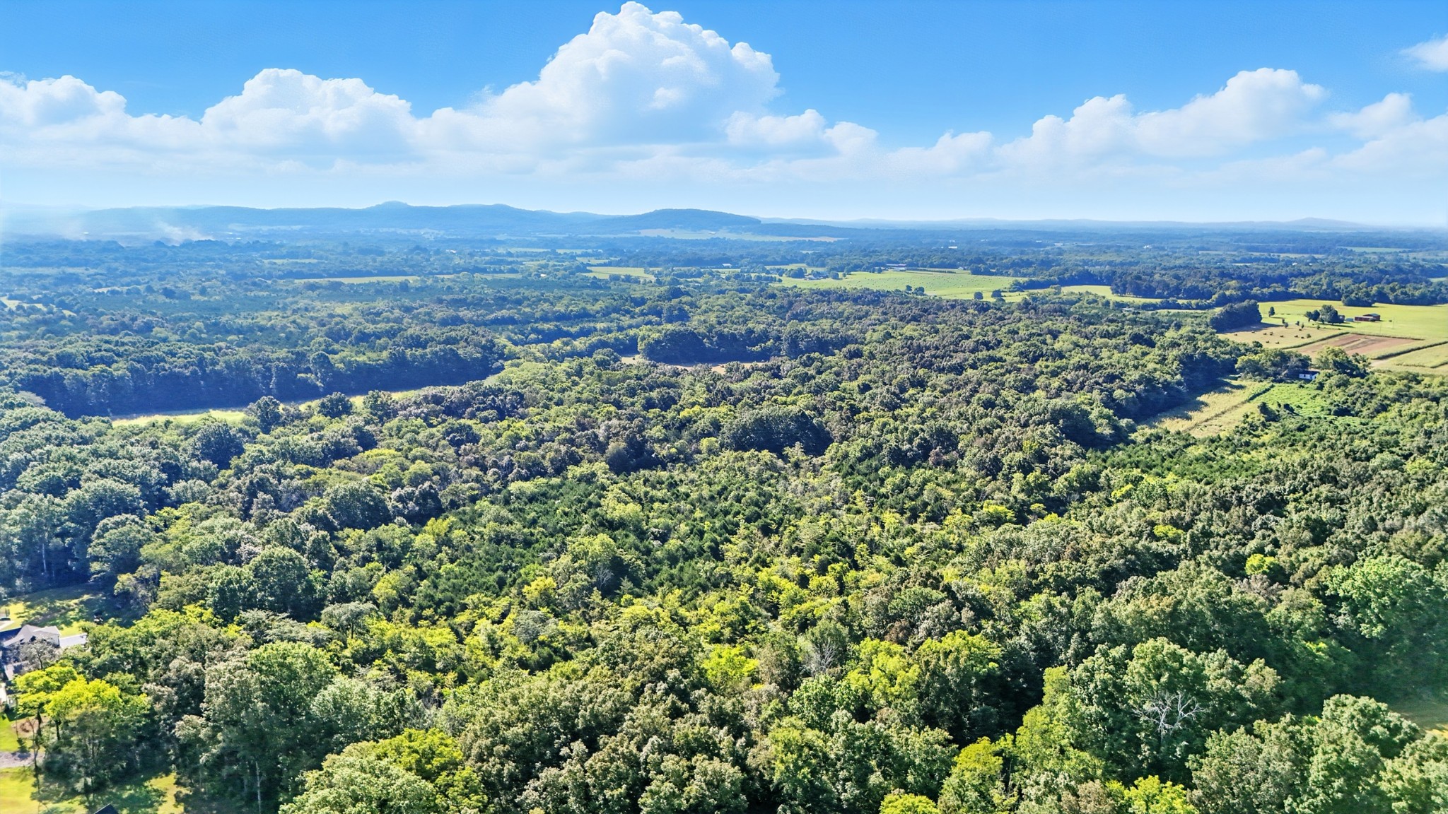 790 Squire Hall Road Bell Buckle, TN 37020 - Photo 21 of 42 an aerial view of multiple house