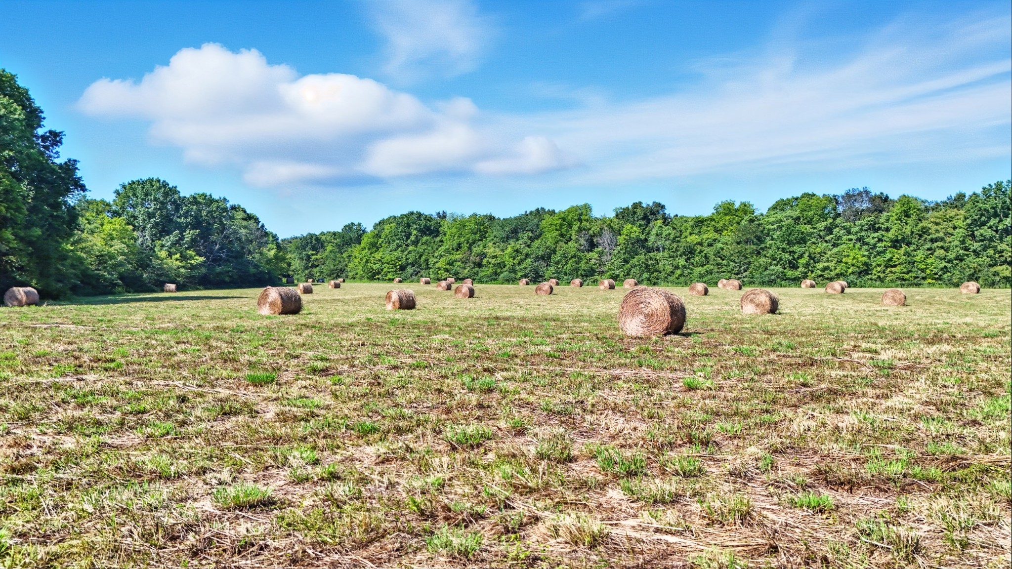 790 Squire Hall Road Bell Buckle, TN 37020 - Photo 24 of 42