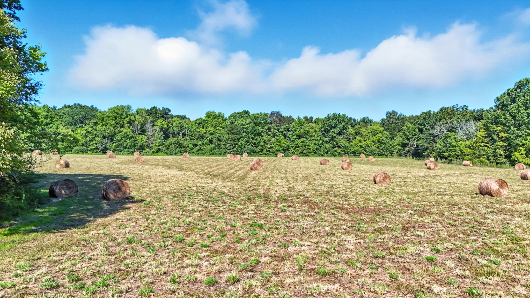 790 Squire Hall Road Bell Buckle, TN 37020 - Photo 25 of 42 a view of a yard