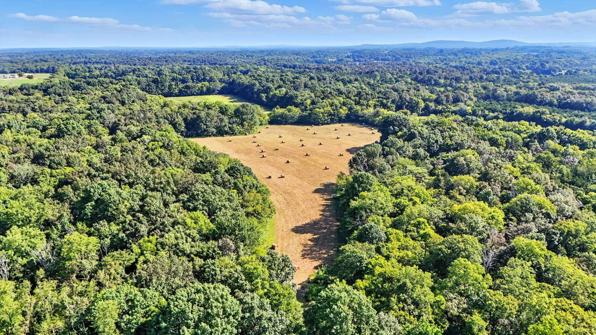 790 Squire Hall Road Bell Buckle, TN 37020 - Photo 26 of 42 an aerial view of a house with a garden