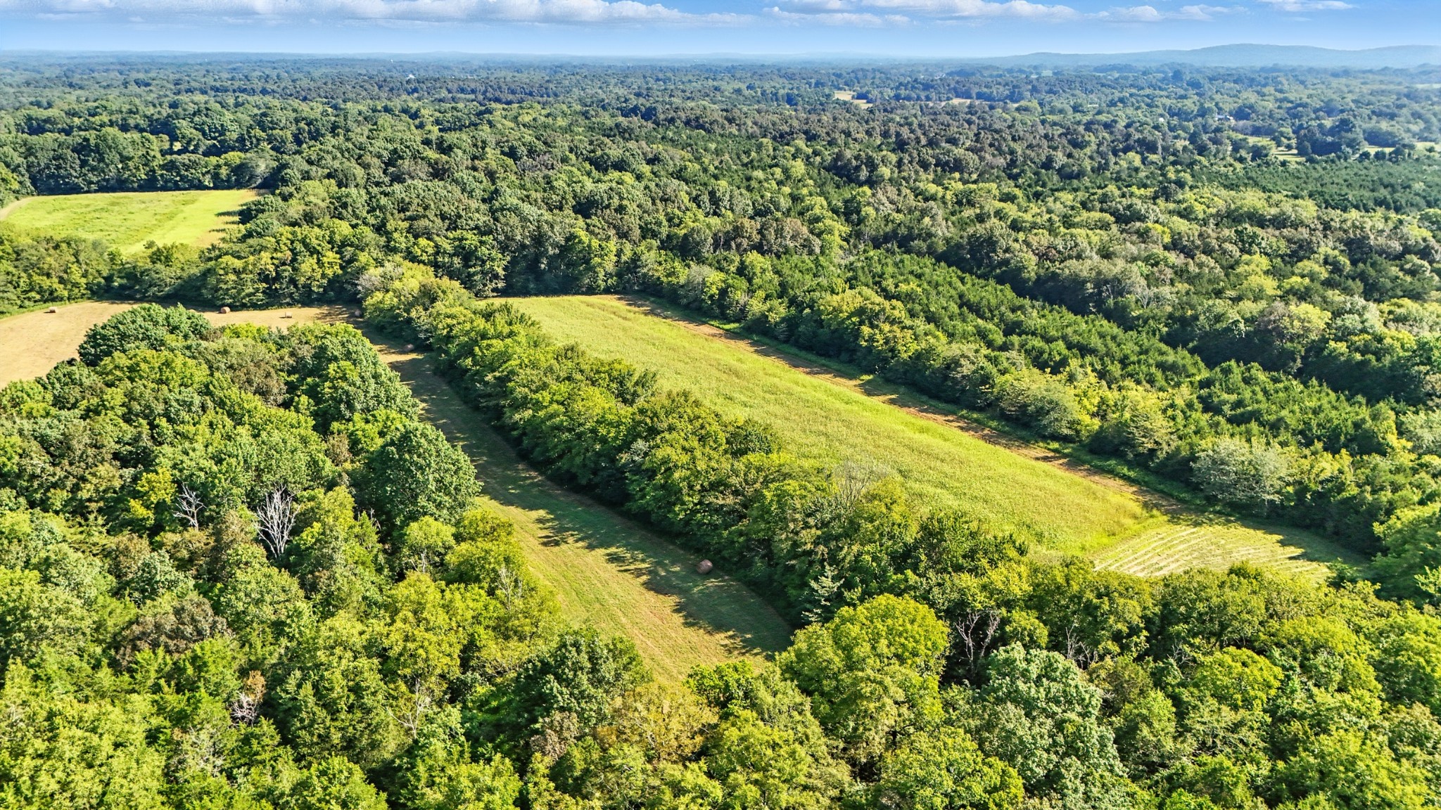 790 Squire Hall Road Bell Buckle, TN 37020 - Photo 27 of 42 a view of a lush green field
