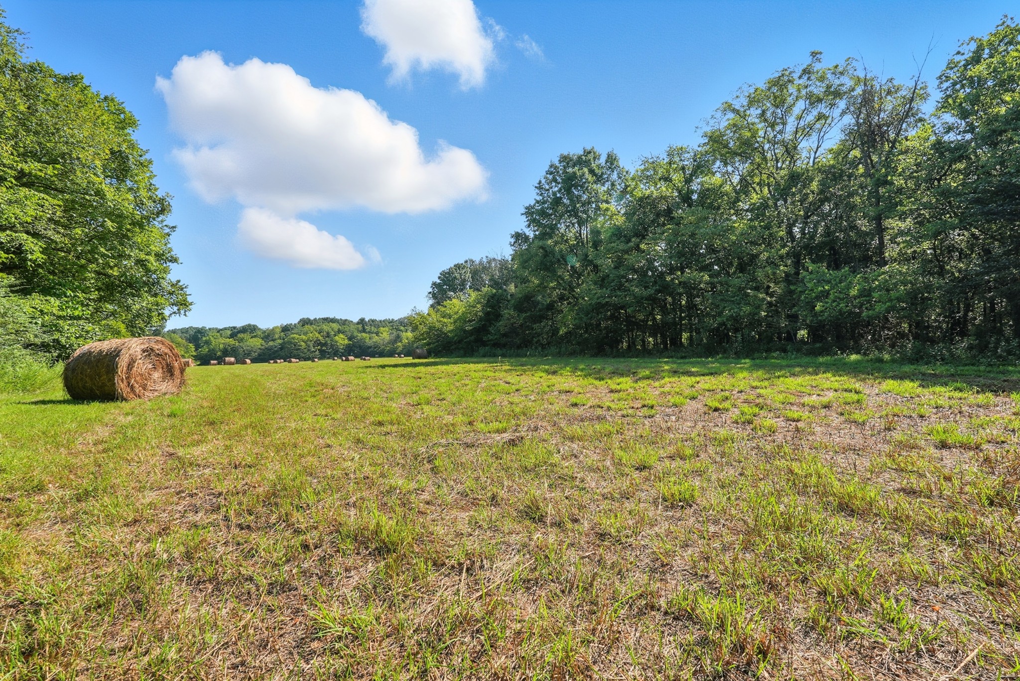 790 Squire Hall Road Bell Buckle, TN 37020 - Photo 29 of 42 a view of outdoor space and yard