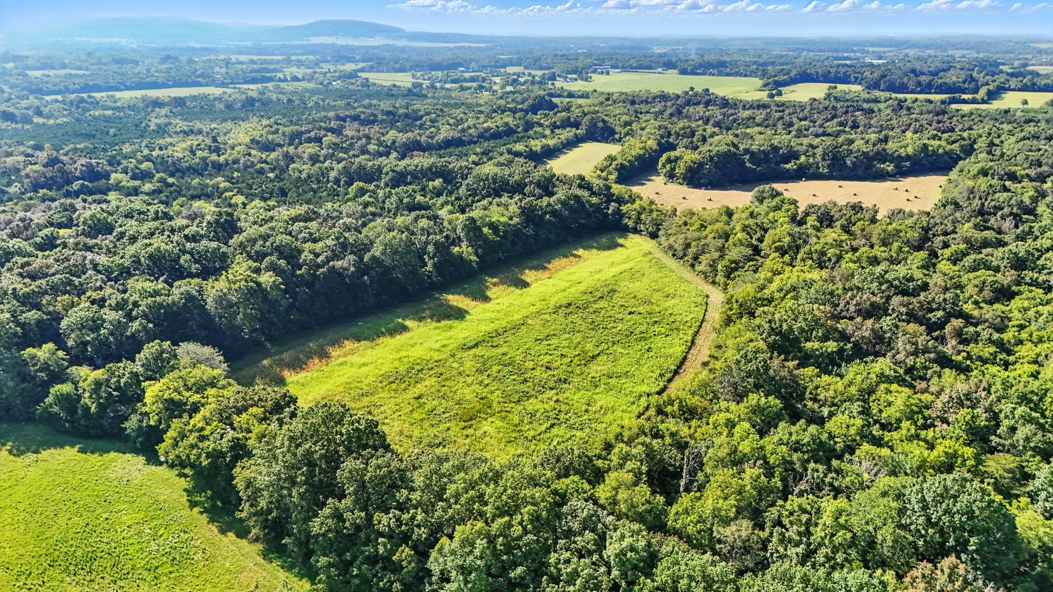 790 Squire Hall Road Bell Buckle, TN 37020 - Photo 3 of 42 a view of a garden with an ocean