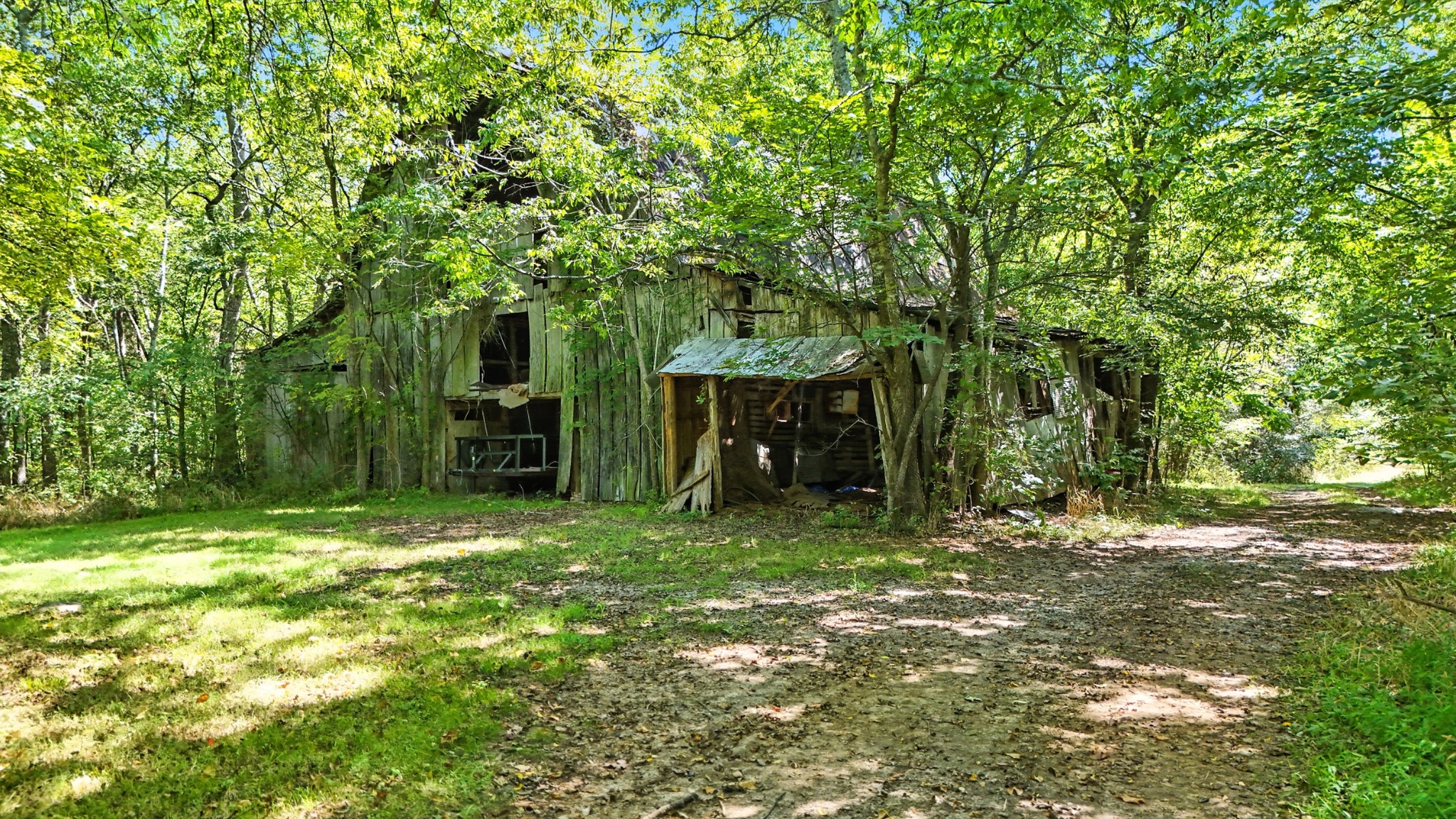 790 Squire Hall Road Bell Buckle, TN 37020 - Photo 36 of 42 a yellow house in middle of the forest