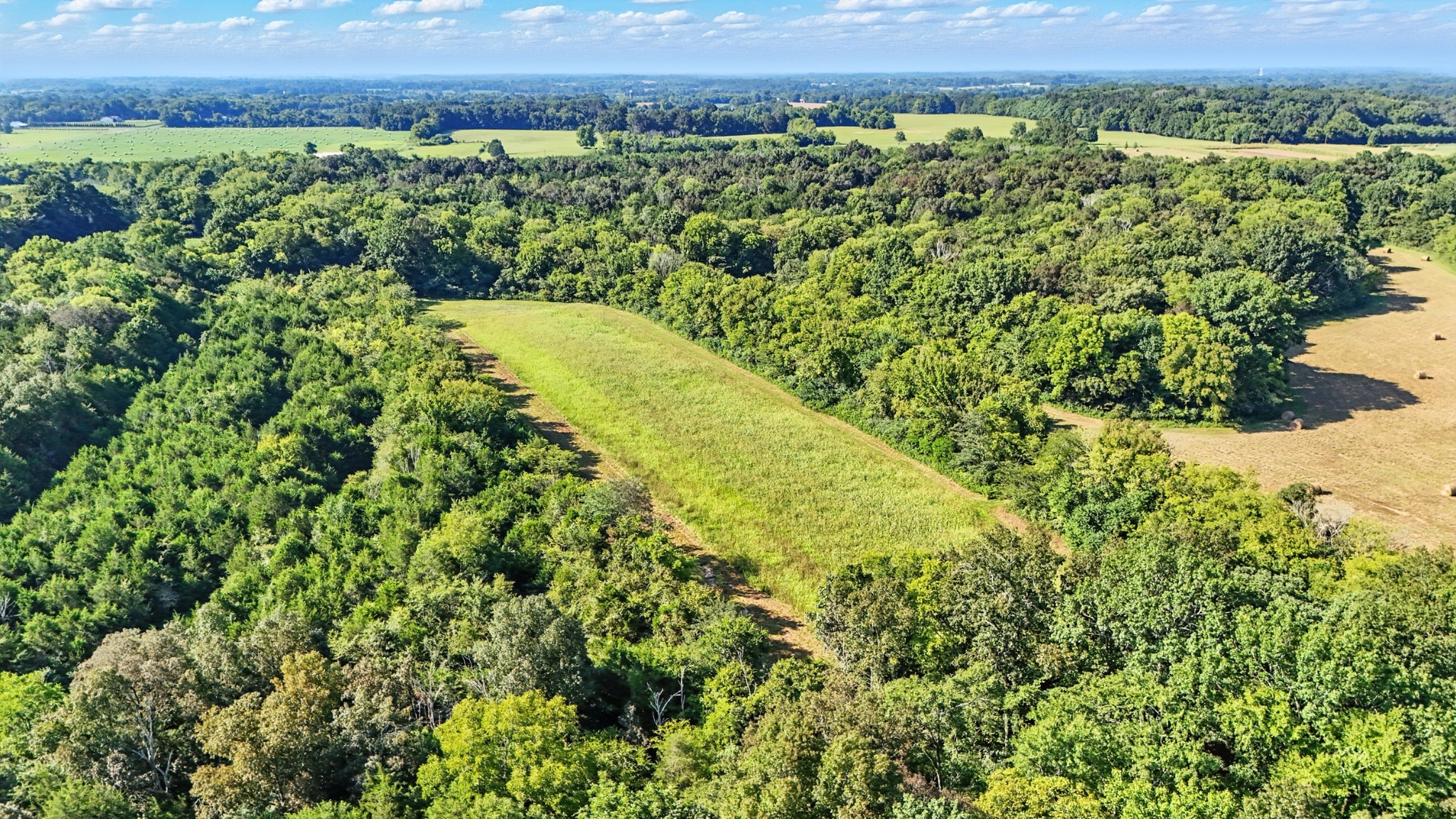 790 Squire Hall Road Bell Buckle, TN 37020 - Photo 39 of 42 a view of a lush green field with plants in it