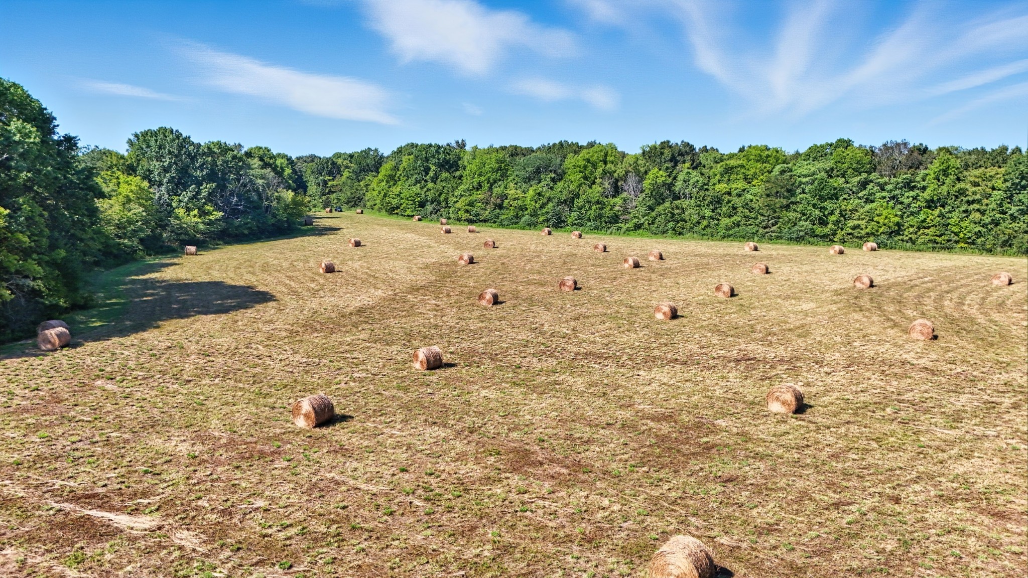 790 Squire Hall Road Bell Buckle, TN 37020 - Photo 4 of 42 a view of a yard with trees