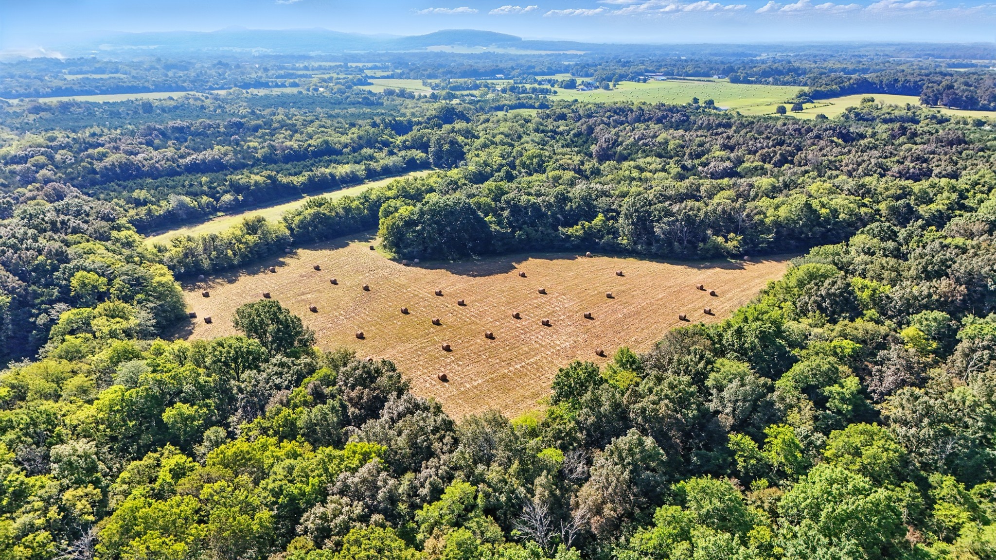 790 Squire Hall Road Bell Buckle, TN 37020 - Photo 5 of 42 a view of a city