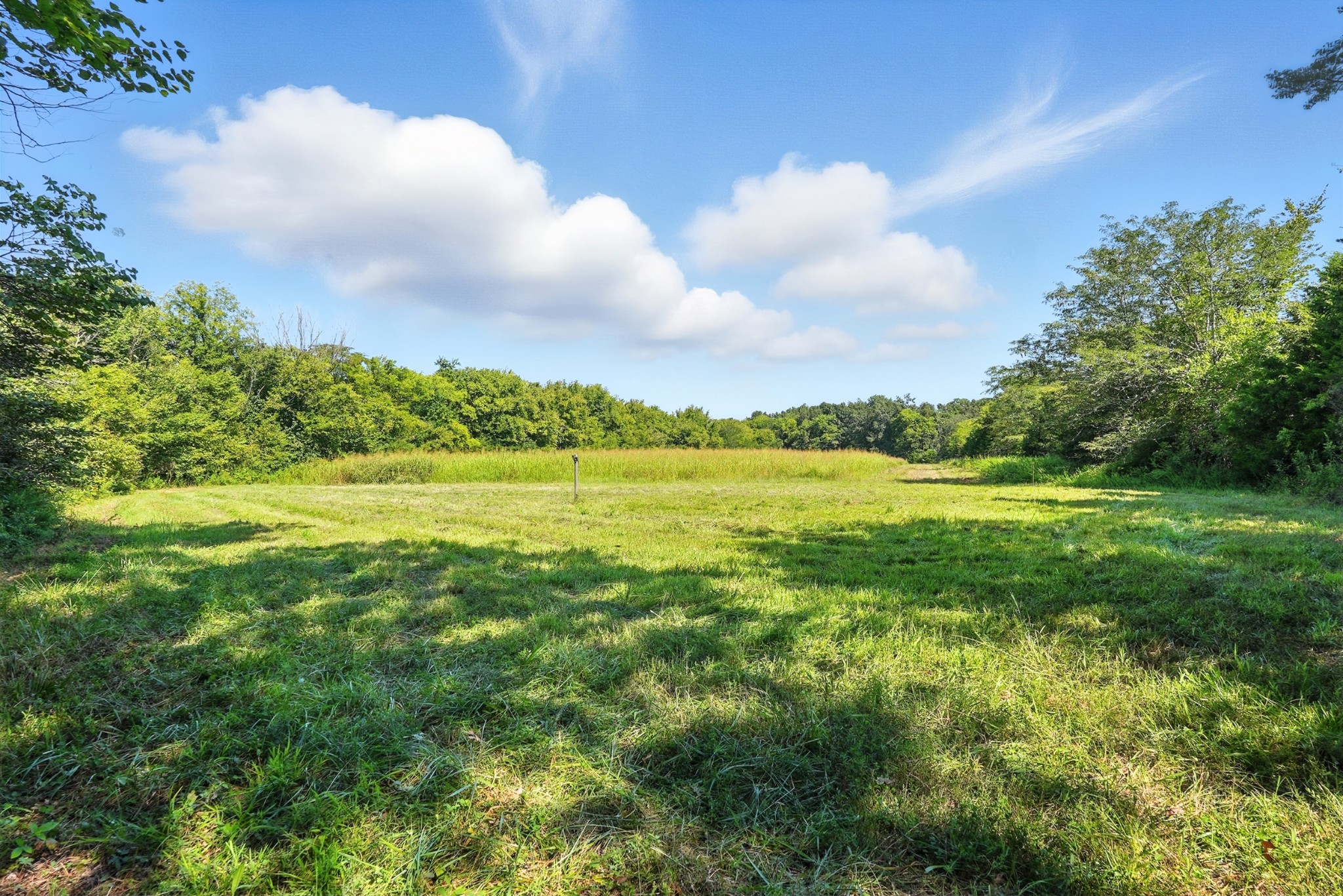790 Squire Hall Road Bell Buckle, TN 37020 - Photo 6 of 42 a view of an ocean and a yard