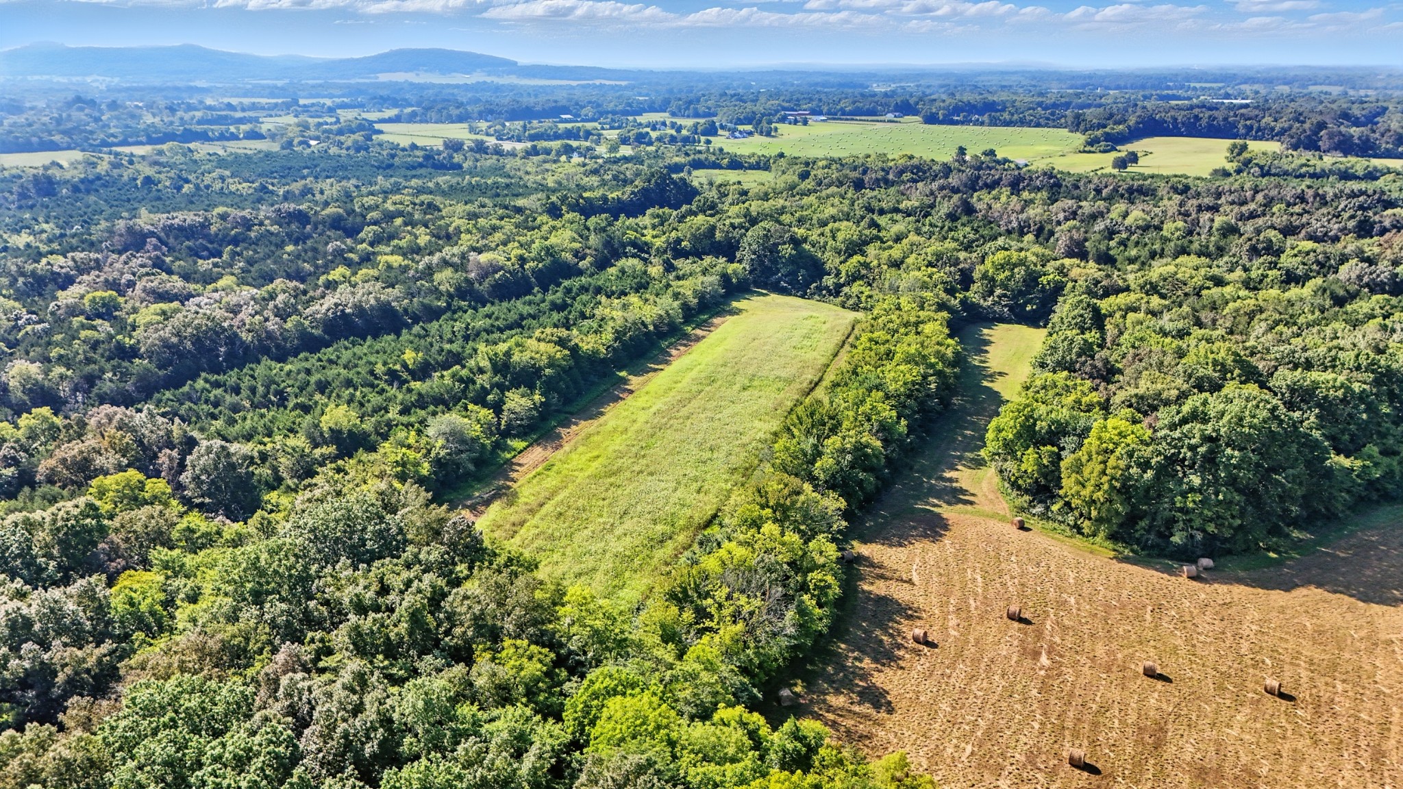 790 Squire Hall Road Bell Buckle, TN 37020 - Photo 7 of 42 a view of a city