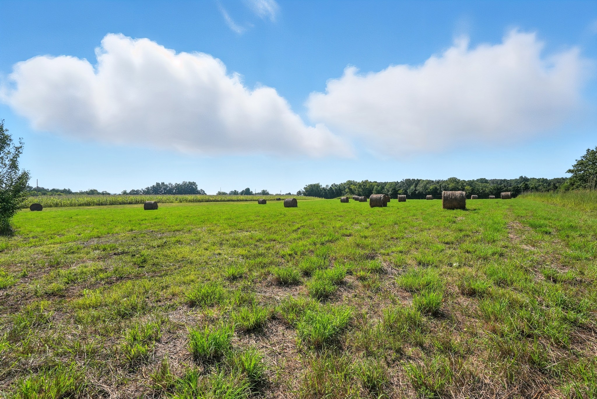 790 Squire Hall Road Bell Buckle, TN 37020 - Photo 8 of 42 a view of a large body of water with lots of green space
