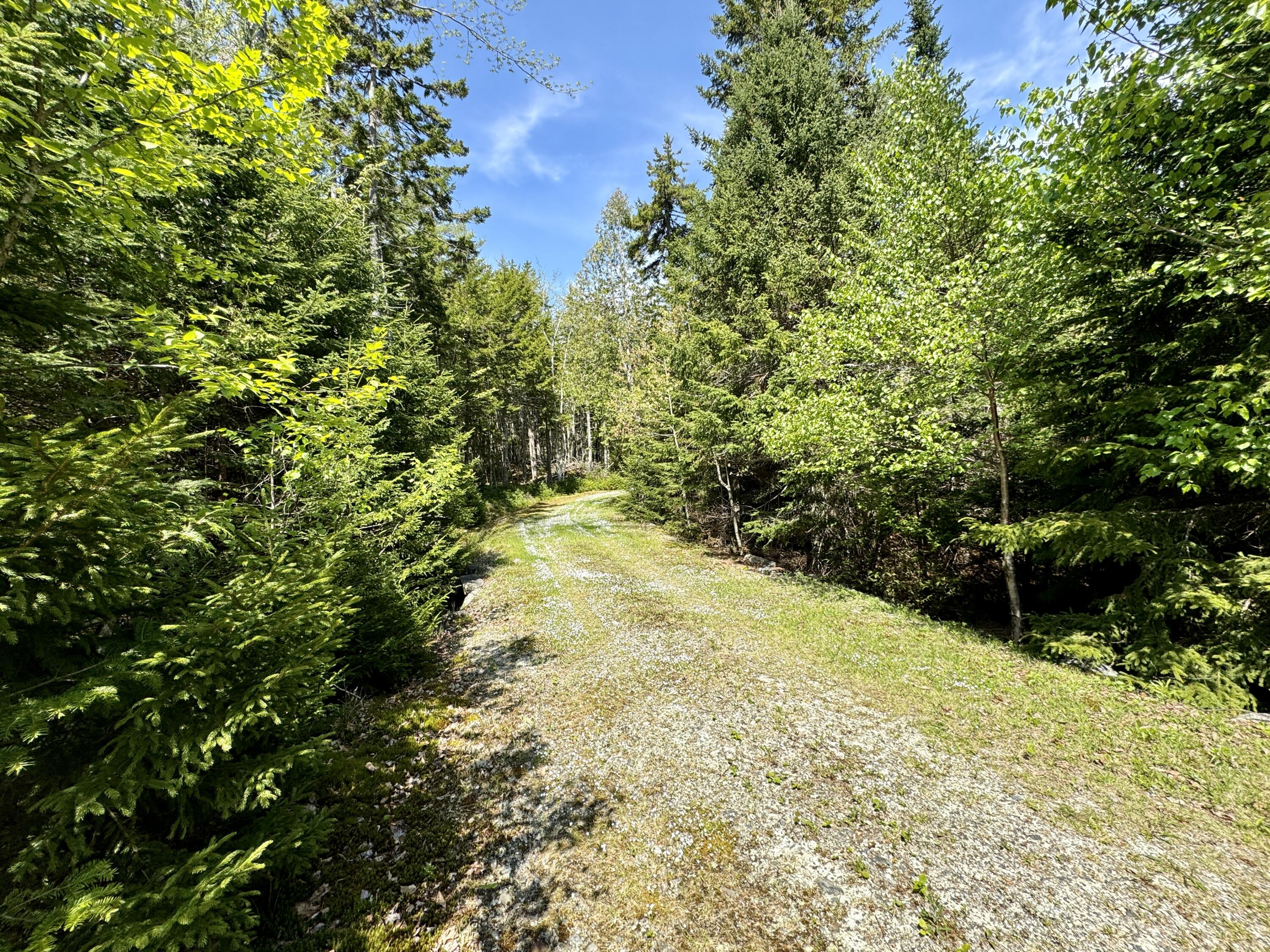 998 Cape Rosier Road Harborside, ME 04642 - Photo 4 of 42 440 Foot Driveway