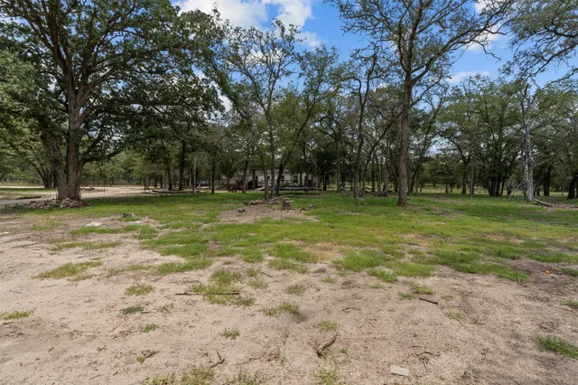 a view of a green field with trees