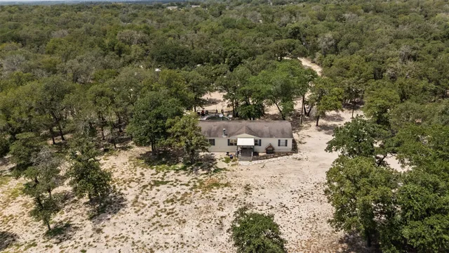 a view of a forest with trees