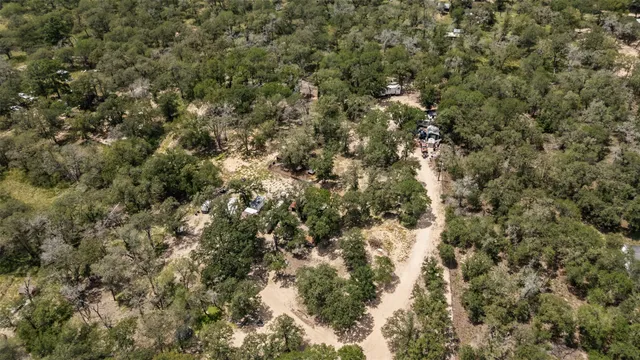 a view of a tree with a tree