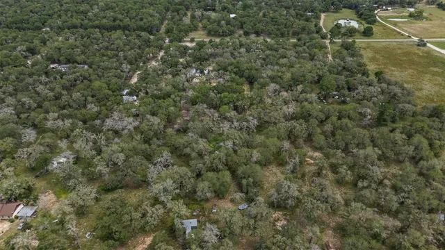 a view of a forest with houses