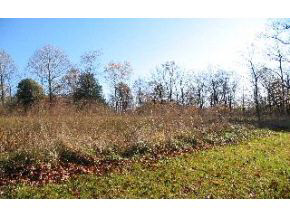7339 East Rush Ridge Road Bloomington, IN 47401 - Photo 12 of 12