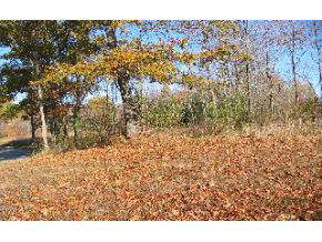 7339 East Rush Ridge Road Bloomington, IN 47401 - Photo 5 of 12