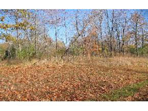 7339 East Rush Ridge Road Bloomington, IN 47401 - Photo 6 of 12