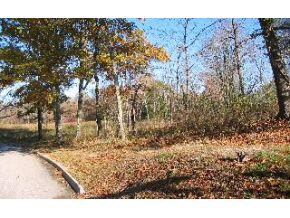 7339 East Rush Ridge Road Bloomington, IN 47401 - Photo 7 of 12