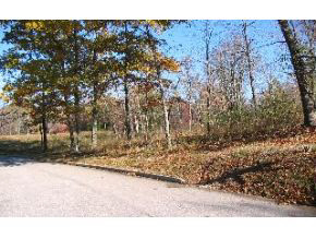 7339 East Rush Ridge Road Bloomington, IN 47401 - Photo 9 of 12