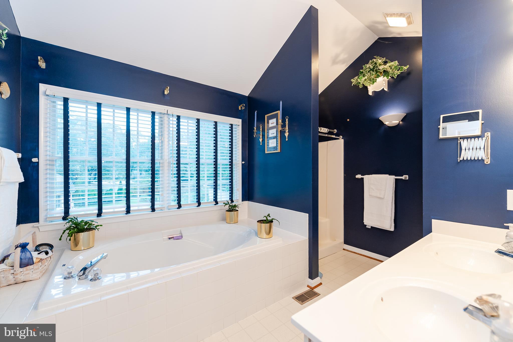 5807 Hunt Club Road Elkridge, MD 21075 - Photo 15 of 30 Bath (Master)