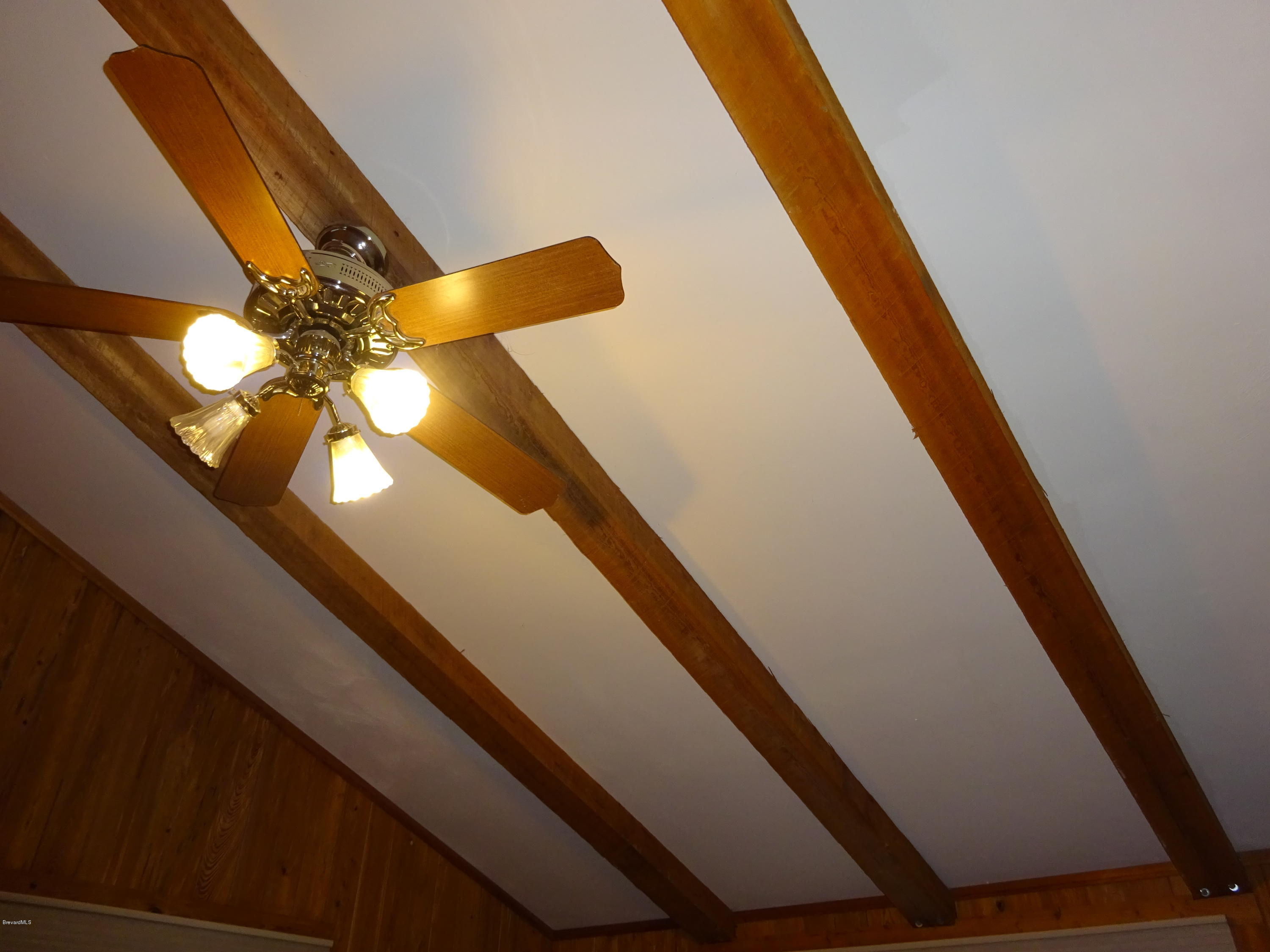 48 Valencia Road Rockledge, FL 32955 - Photo 18 of 21 ceiling/ bedroom 3