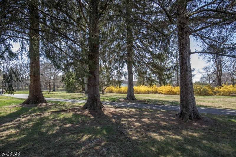 1 Scarlet Oak Road Califon, NJ 07830 - Photo 9 of 26