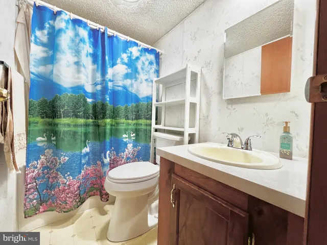 a bathroom with a sink a mirror and a toilet