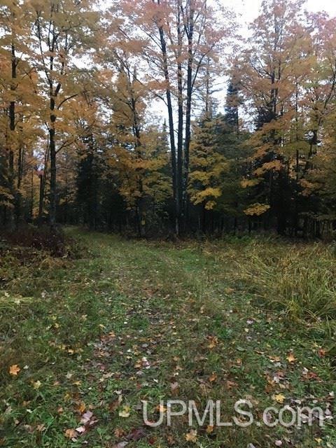 Tbd Bates-Amasa Road Iron River, MI 49935 - Photo 3 of 9