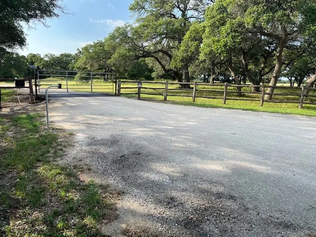 a view of a park with large trees