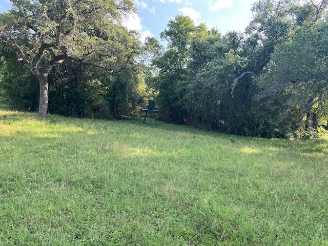 534 Scott's School Road Flatonia, TX 78941 - Photo 22 of 27 a view of a yard with a trees