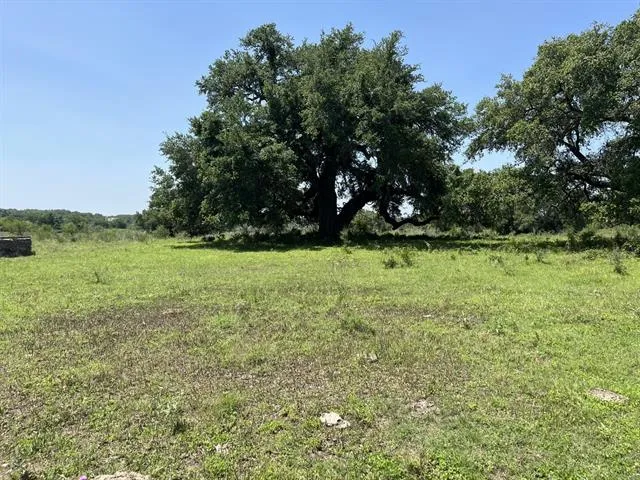 a view of a green field with trees in the background