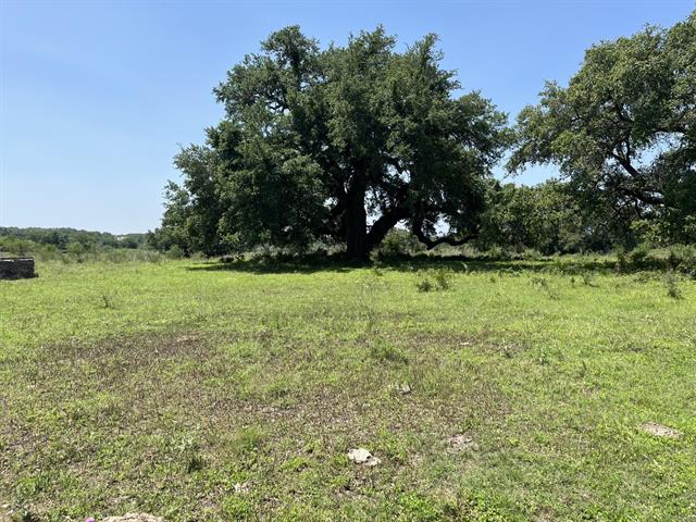 534 Scott's School Road Flatonia, TX 78941 - Photo 6 of 27 a view of a green field with trees in the background