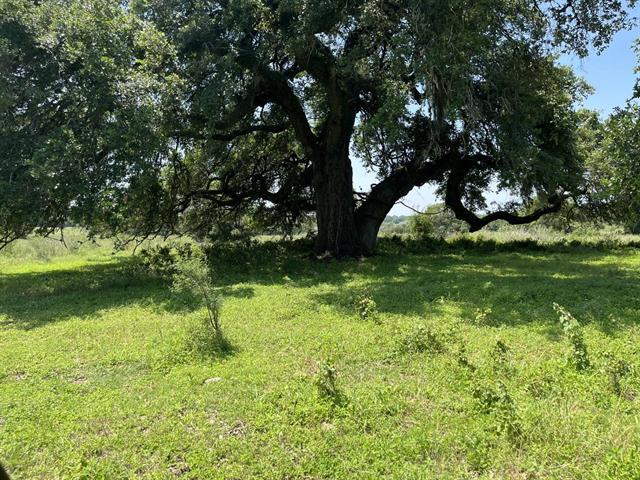 534 Scott's School Road Flatonia, TX 78941 - Photo 7 of 27